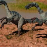 Saml og leg med Ecoiffiers store udvalg af dinosaur legetøj