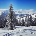 Fra pisten til pulversne: Sådan bliver du en ekspert i offpiste-ski